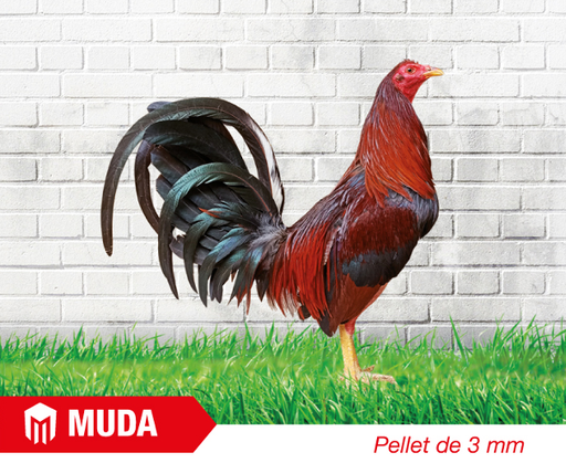 PICO - ADULTO MUDA  X 40  KG